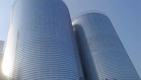 托里2座混凝土高架卷板仓